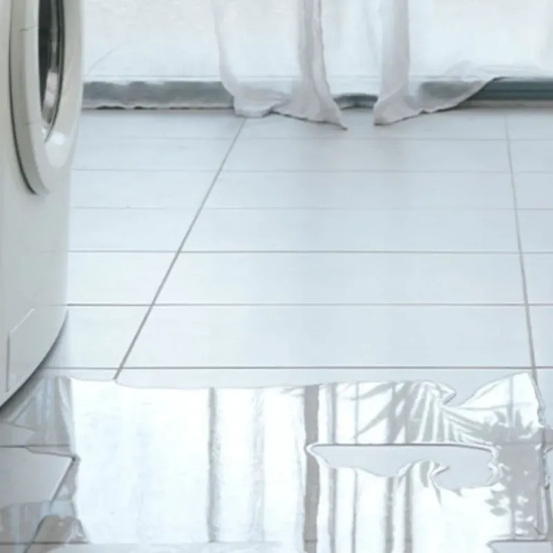 Appliance Leak Cleanup in Rogersville, TN
