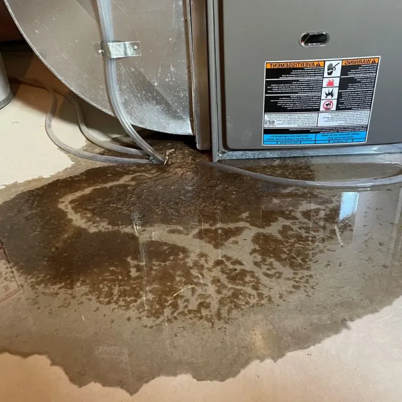 Pipe Burst and Leak Restoration in Rogersville, TN