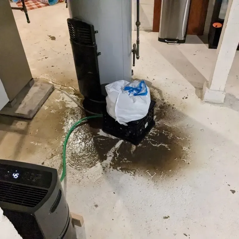 Sewage Backup Cleanup Service in Rogersville, TN